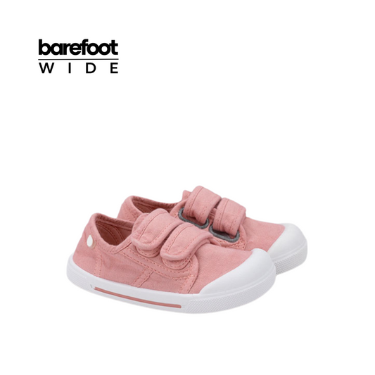 Canvas V. Rosa - Igor