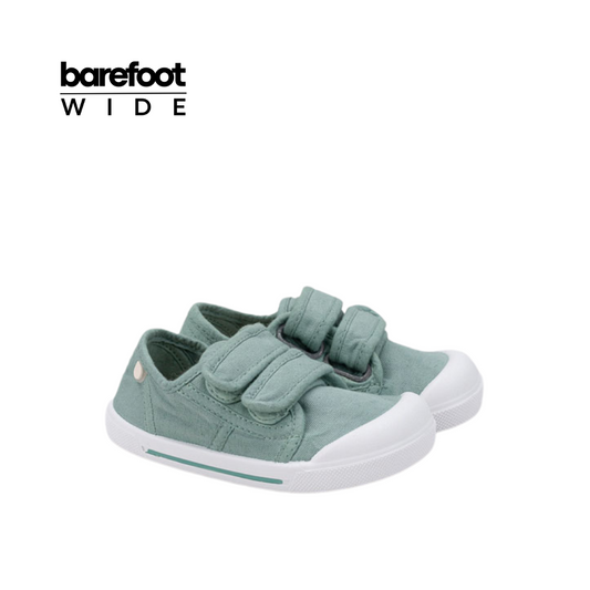 Canvas V. Matcha - Igor