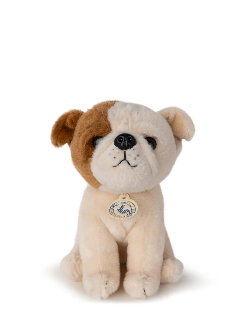 B.T. Chaps Bertha the American Bulldog in giftbox - Bon Ton Toys