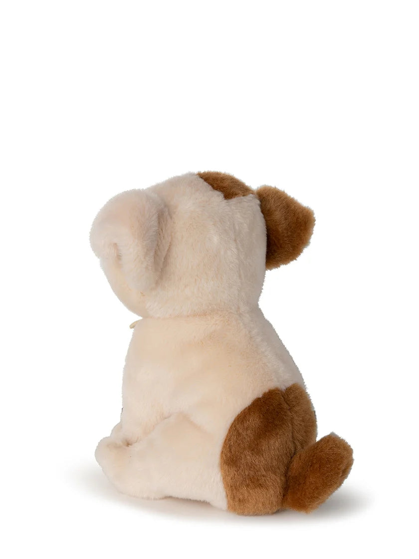 B.T. Chaps Bertha the American Bulldog in giftbox - Bon Ton Toys