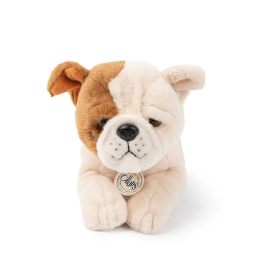 B.T. Chaps Bertha the American Bulldog in Giftbox - Bon Ton Toys