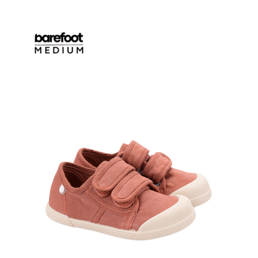 Lona V. Terracota - Igor