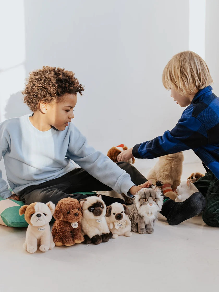 B.T. Chaps Bertha the American Bulldog in giftbox - Bon Ton Toys