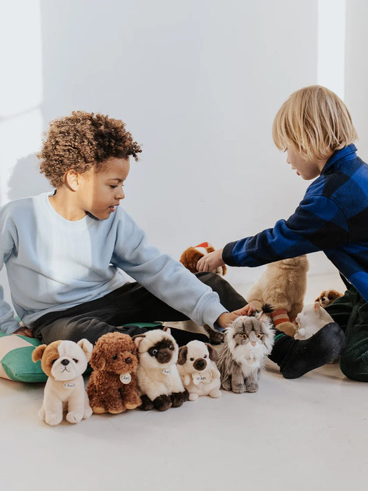 B.T. Chaps Bertha the American Bulldog in giftbox - Bon Ton Toys