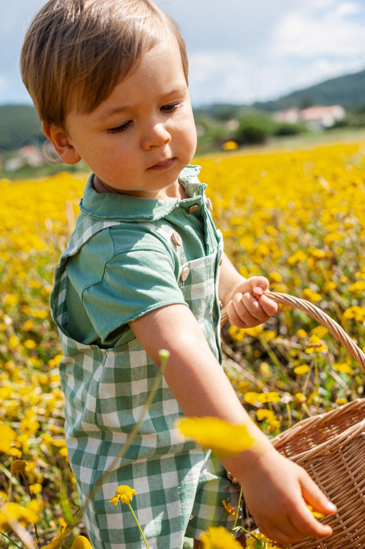Short à poitrine carrée - Snug