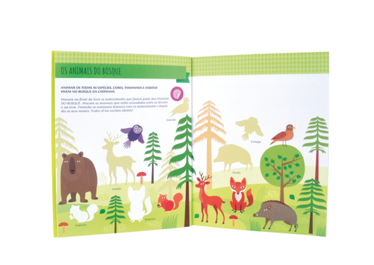 Méthode Montessori - Edicare