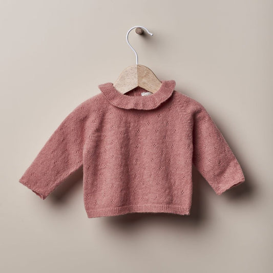 Pull en laine tricotée | LES TONS DES JARDINS EN HIVER - Wedoble