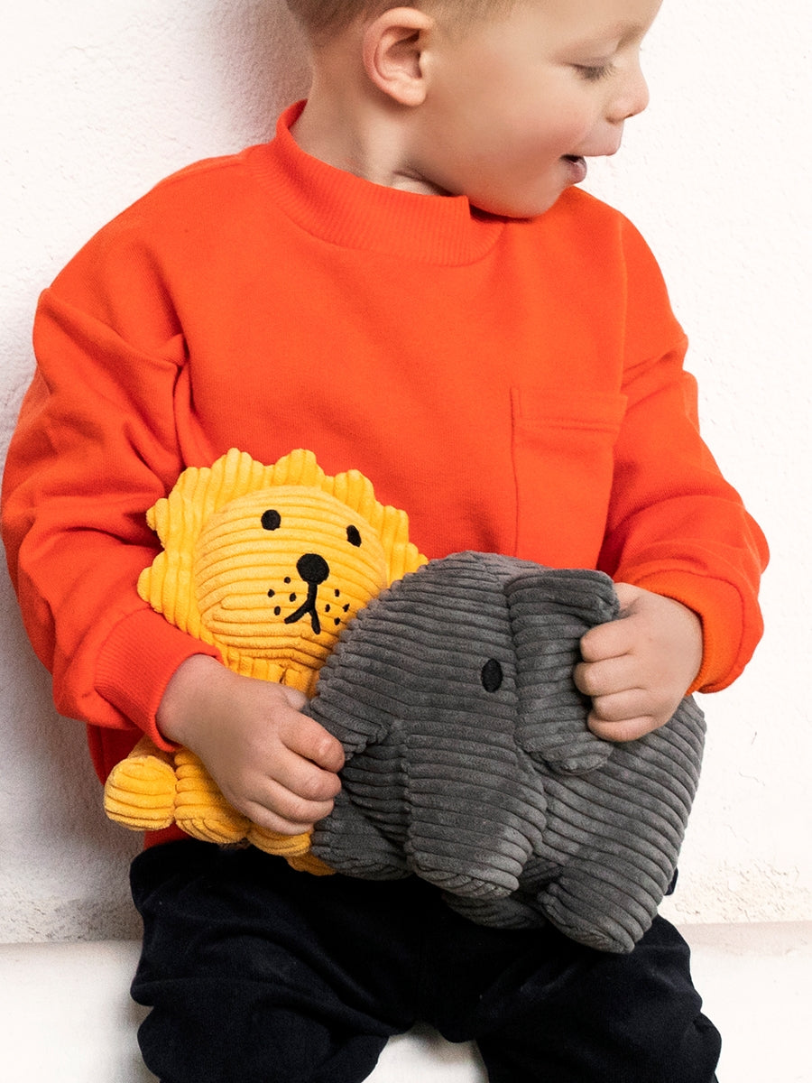 Lion Eco - Bon Ton Toys