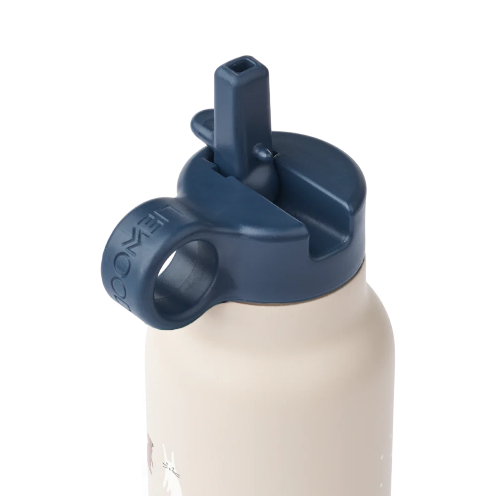 Falk Garrafa térmica de 350ml - Liewood