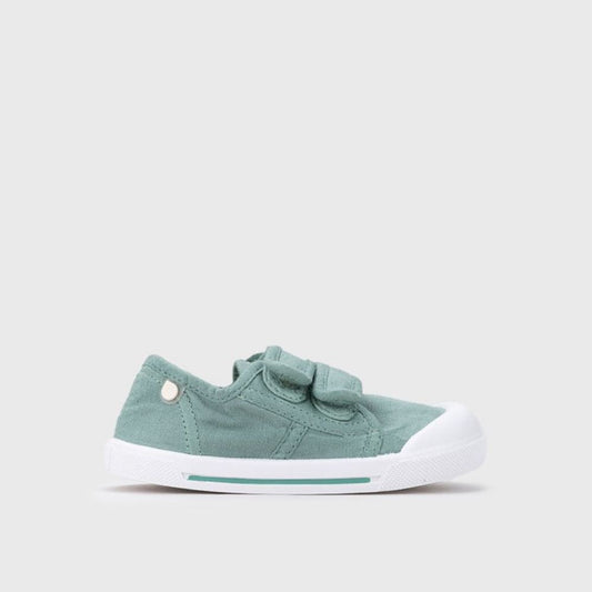 Canvas V. Matcha - Igor