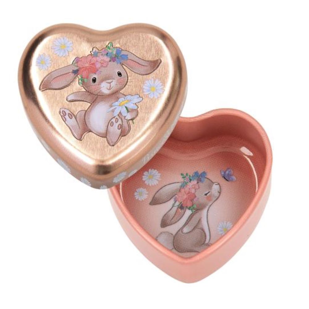 Caixinha em metal - Princess Mimi