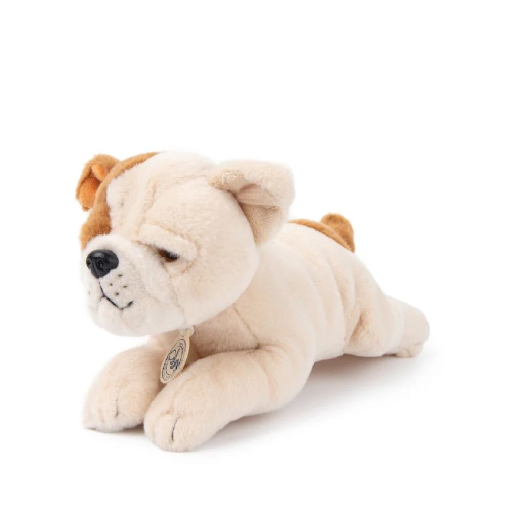 B.T. Chaps Bertha the American Bulldog in Giftbox - Bon Ton Toys