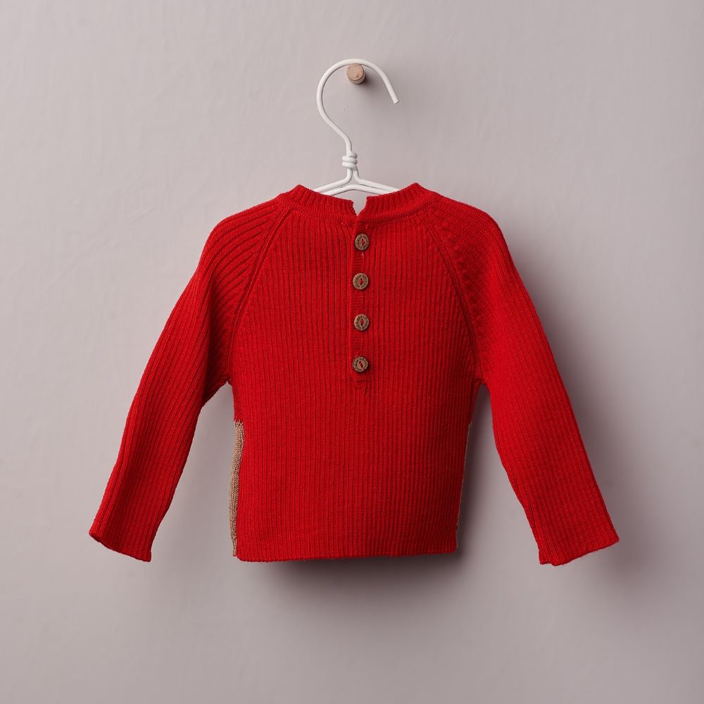 Pull | TEMPS DE NOËL - Wedoble
